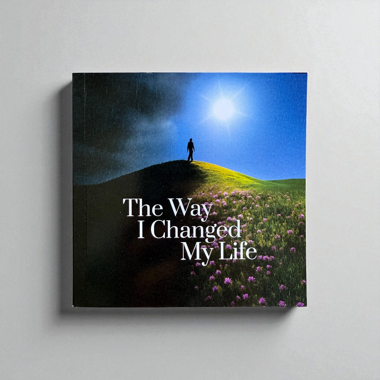 The Way I Changed My Life – Paperback